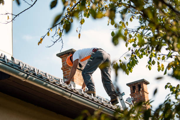 Best Roof Moss and Algae Removal  in Folsom, PA